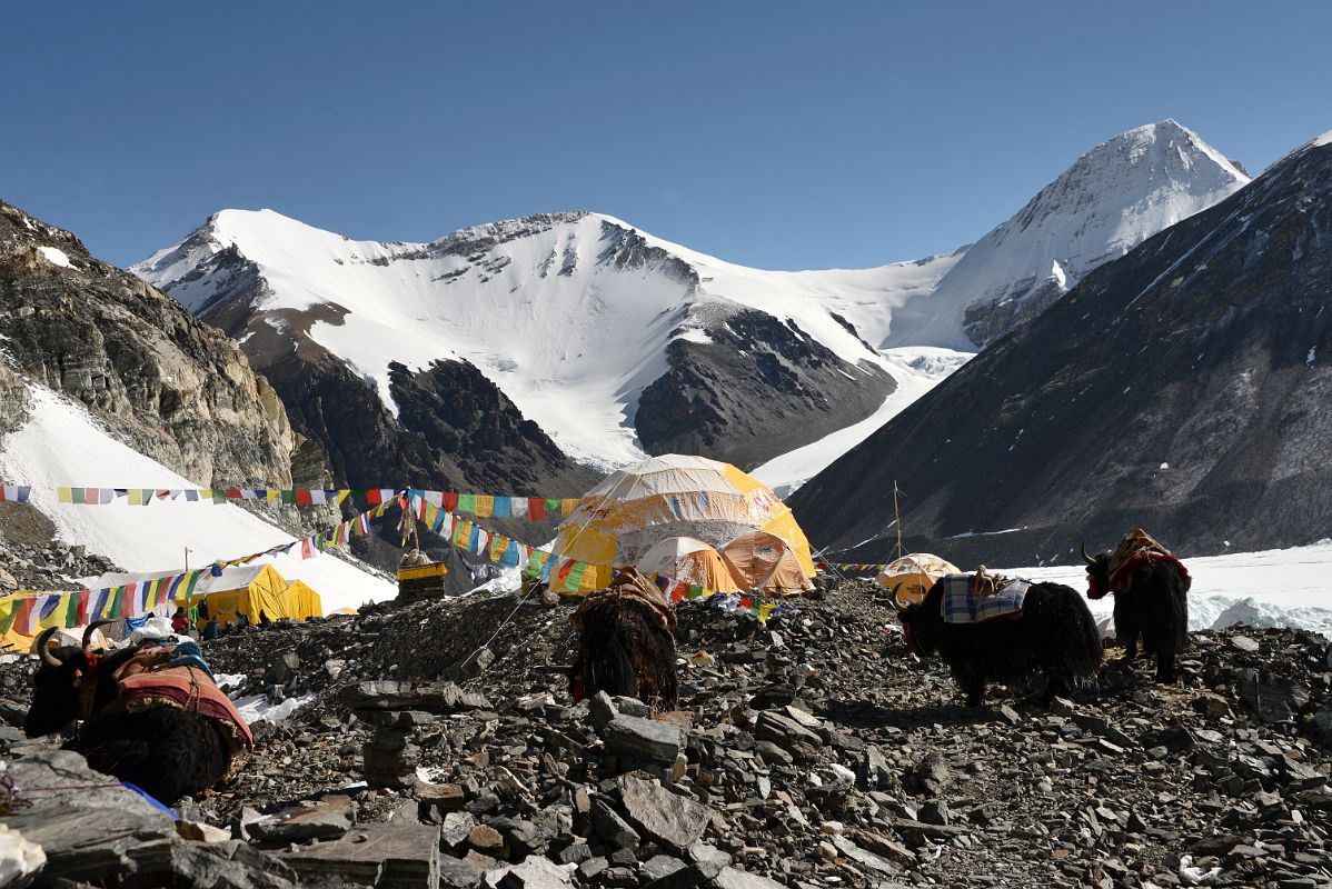 33 Xiangdong Peak Kharta Phu West And Kharta Phu Early Morning From Mount Everest North Face Advanced Base Camp 6400m In Tibet